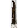Bogwood 343