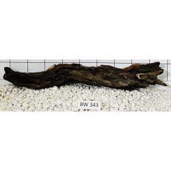 Bogwood 343