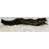 Bogwood 343