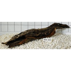 Bogwood 343
