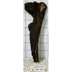 Bogwood 345