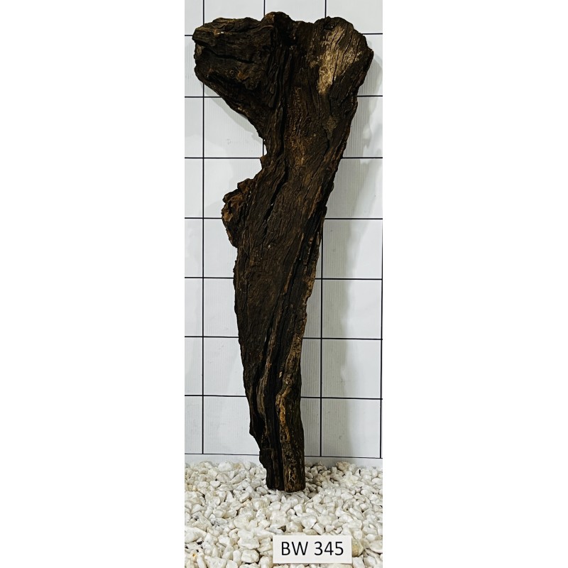Bogwood 345