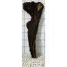 Bogwood 345