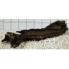 Bogwood 345