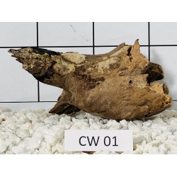 Corbo wood 01