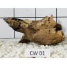 Corbo wood 01