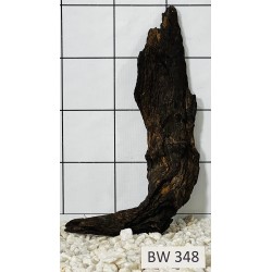 Bogwood 348