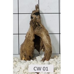 Corbo wood 01