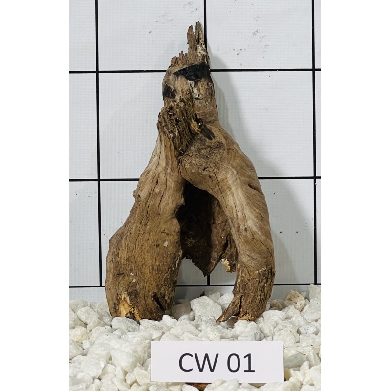 Corbo wood 01