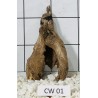 Corbo wood 01