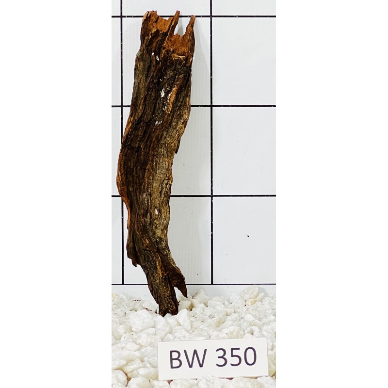 Bogwood 350