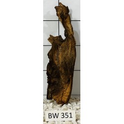 Bogwood 351