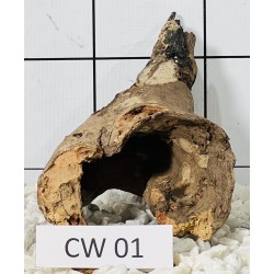 Corbo wood 01