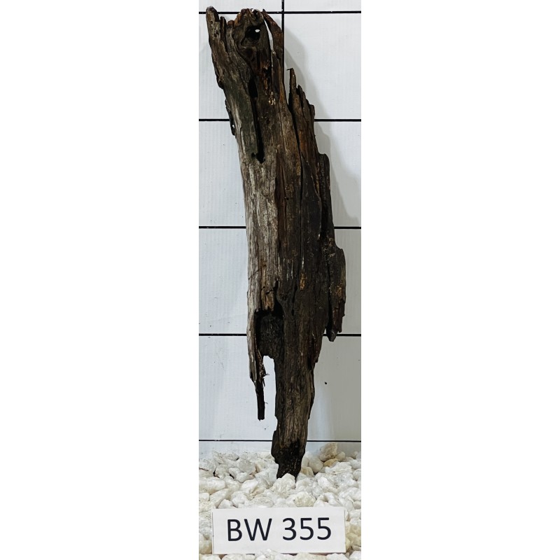 Bogwood 355
