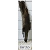 Bogwood 355