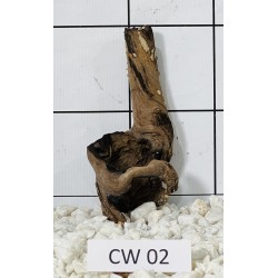 Corbo wood 02