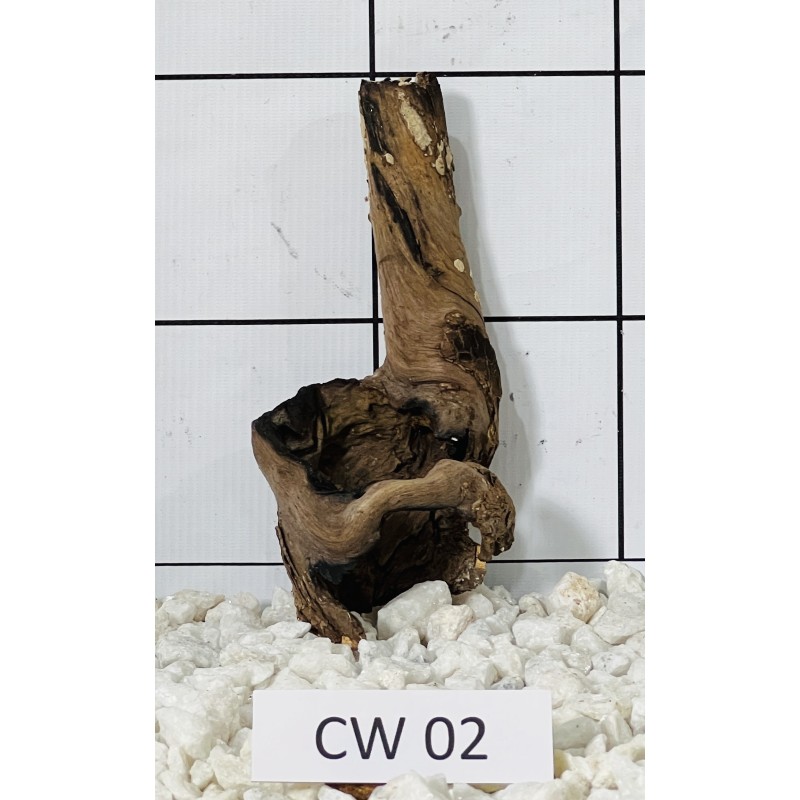 Corbo wood 02