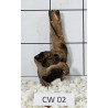 Corbo wood 02