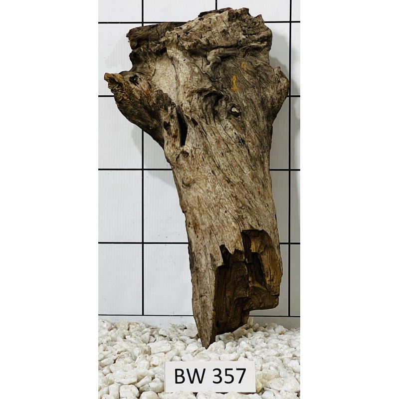 Bogwood 357