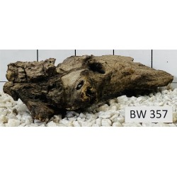Bogwood 357