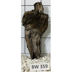 Bogwood 359