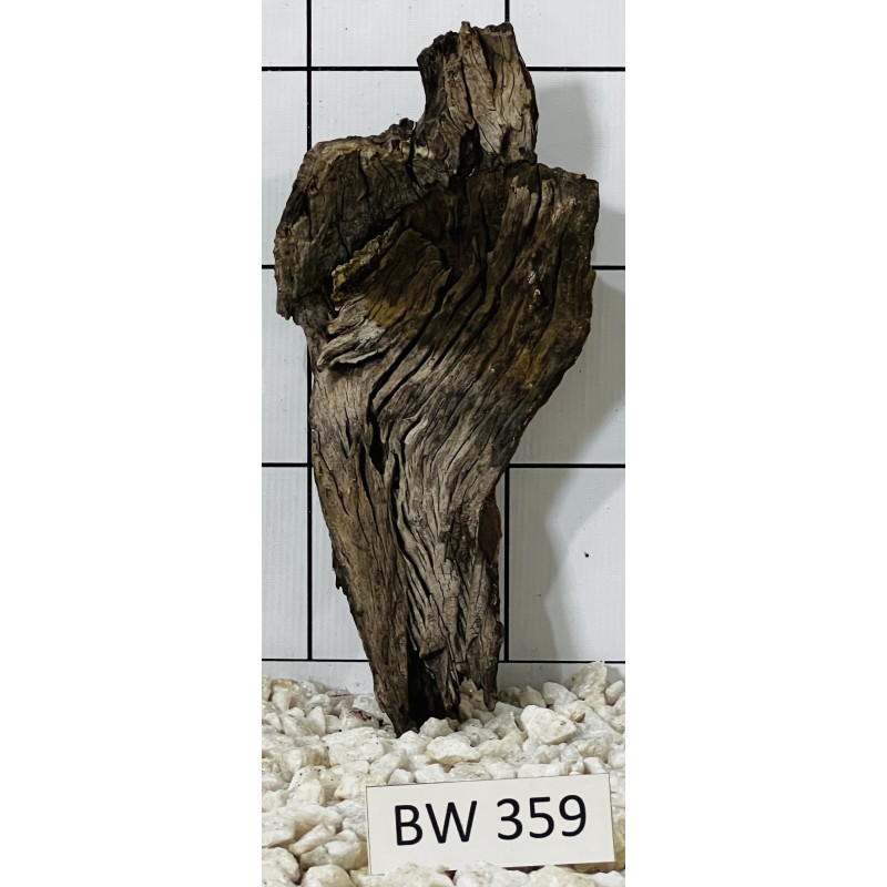 Bogwood 359