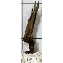 Bogwood 360