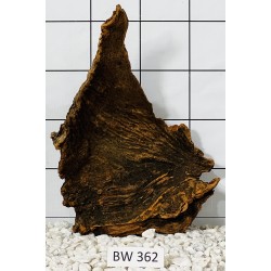 Bogwood 362