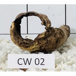 Corbo wood 02