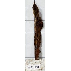 Bogwood 364