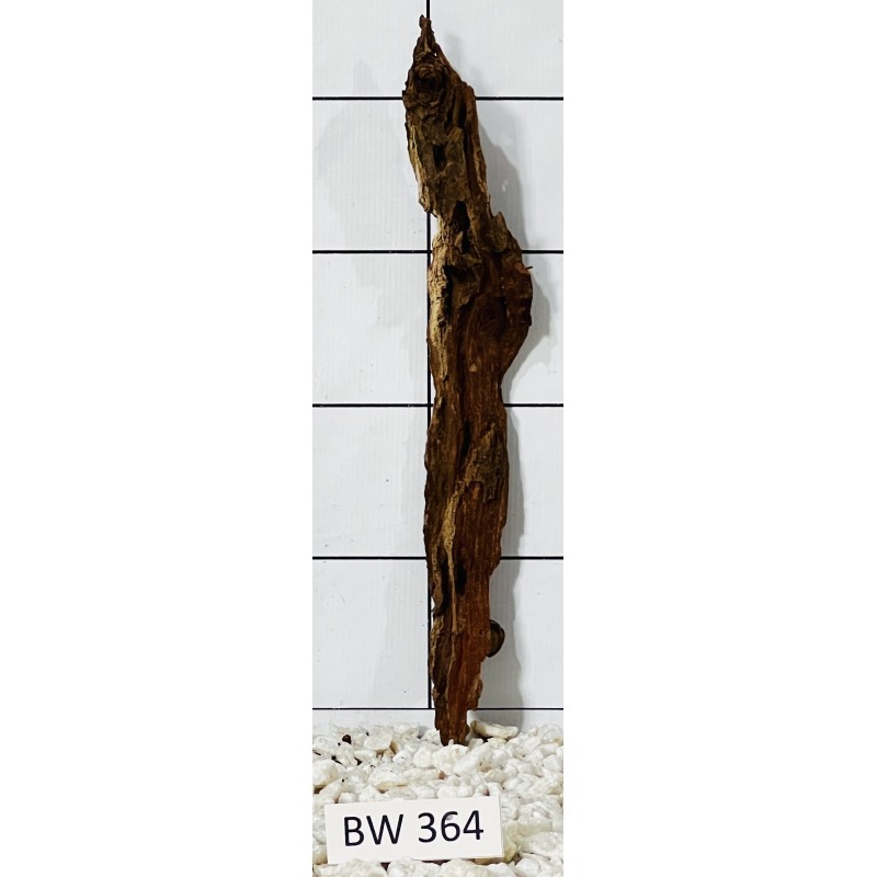 Bogwood 364