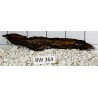 Bogwood 364