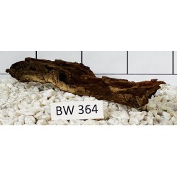 Bogwood 364