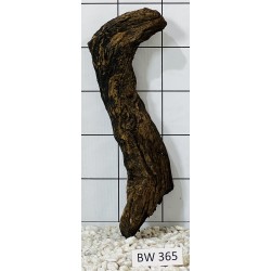 Bogwood 365
