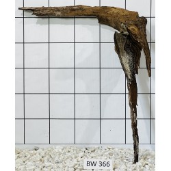 Bogwood 366