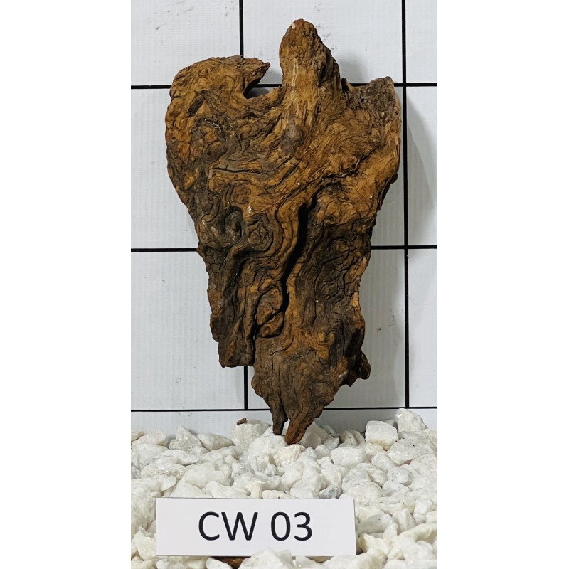 Corbo wood 03