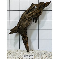 Bogwood 367