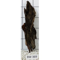 Bogwood 369
