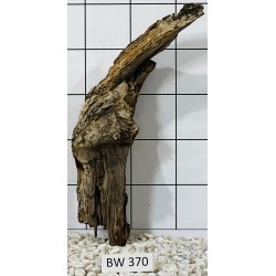 Bogwood 370