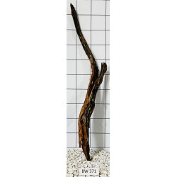 Bogwood 371