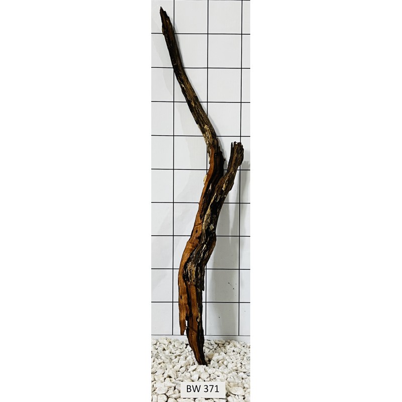 Bogwood 371