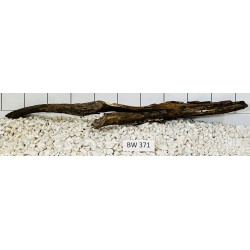 Bogwood 371