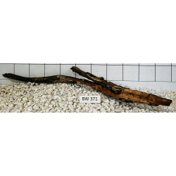 Bogwood 371