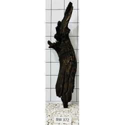 Bogwood 372