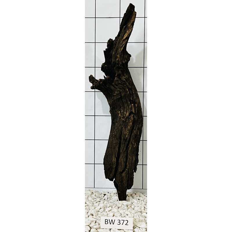Bogwood 372