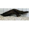 Bogwood 372
