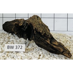 Bogwood 372