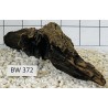 Bogwood 372