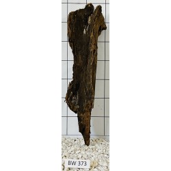 Bogwood 373