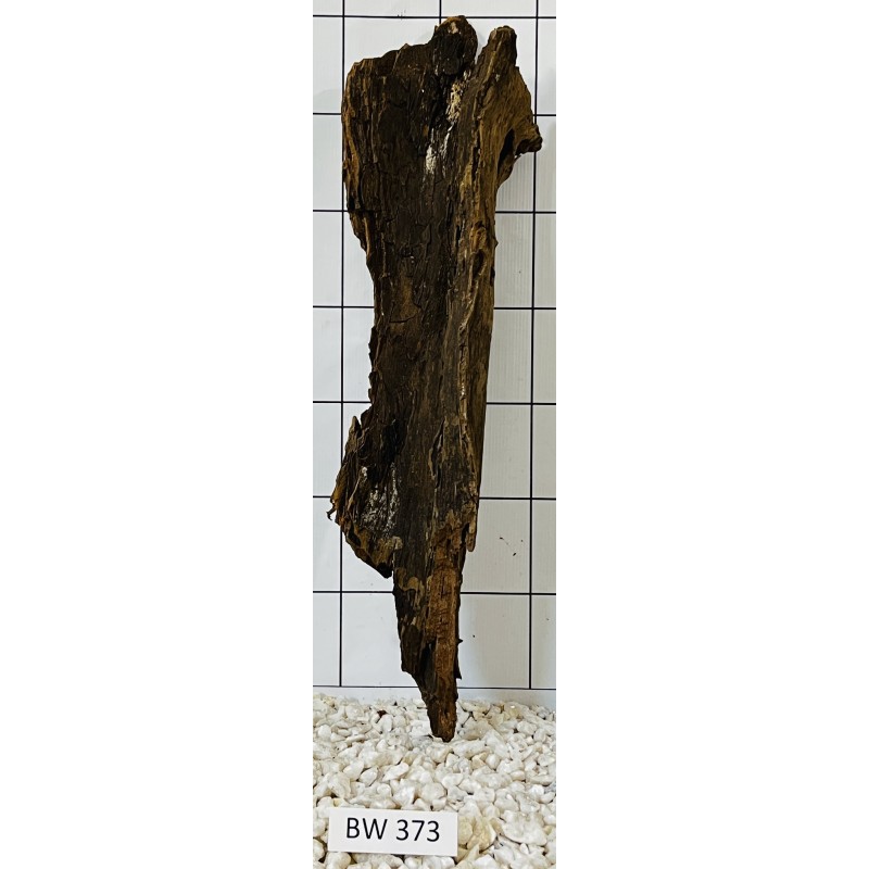 Bogwood 373